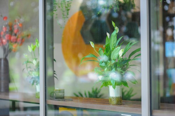 Conseils pour la décoration des espaces communs en EHPAD