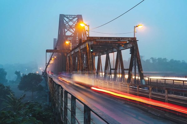 La science derrière les plantes qui améliorent le sommeil et réduisent le stress