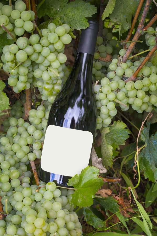 Des étapes à suivre pour avoir une étiquette de jus de qualité