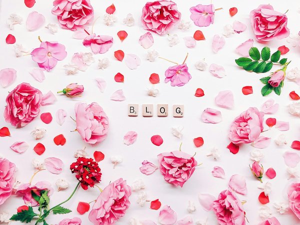 Blog privé : les étapes de création de la plateforme